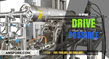 Exploring the Feasibility of Spore Drive Technology in Real Life