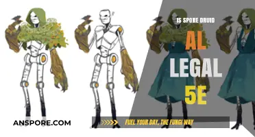 Is Spore Druid AL Legal in 5e? Rules and Clarifications