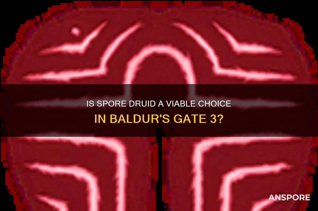 is spore druid any good bg3
