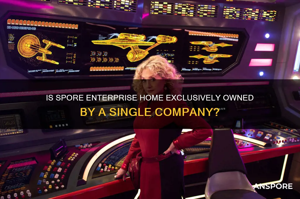 is spore enterprise home by one company
