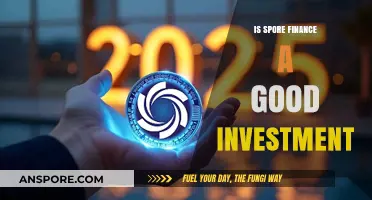 Is Spore Finance a Wise Investment Choice? Pros and Cons Explored
