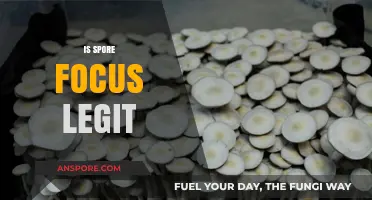 Is Spore Focus Legit? Uncovering the Truth Behind the Supplement