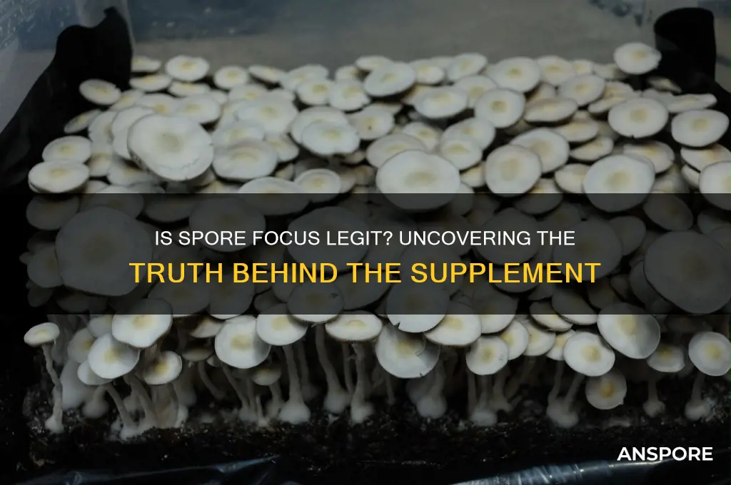 is spore focus legit