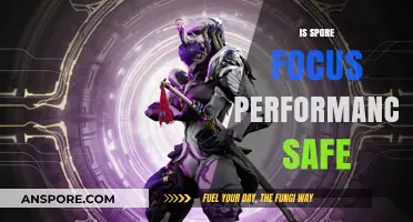 Is Spore Focus Performance Safe? A Comprehensive Review and Analysis