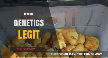 Is Spore Genetics Legit? Unveiling the Truth Behind the Brand