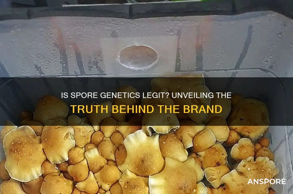 is spore genetics legit