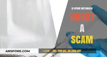 Is Spore Metabolic Boost Legit or Just Another Scam?