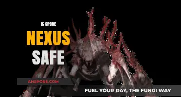 Is Spore Nexus Safe? Exploring Security and User Experiences