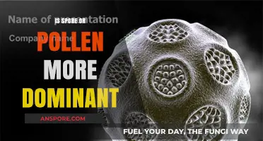 Spore vs. Pollen: Unraveling the Dominance in Plant Reproduction