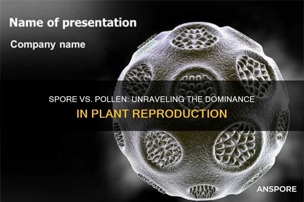 is spore or pollen more dominant