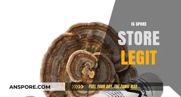 Is Spore Store Legit? Uncovering the Truth About This Online Shop