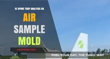 Spore Trap Analysis: Accurate Air Sample Mold Detection Method?