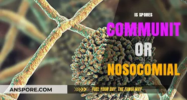 Spores: Community-Acquired or Nosocomial Infections? Unraveling the Source