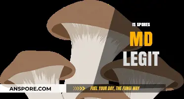 Is Spores MD Legit? Unveiling the Truth About This Spore Vendor