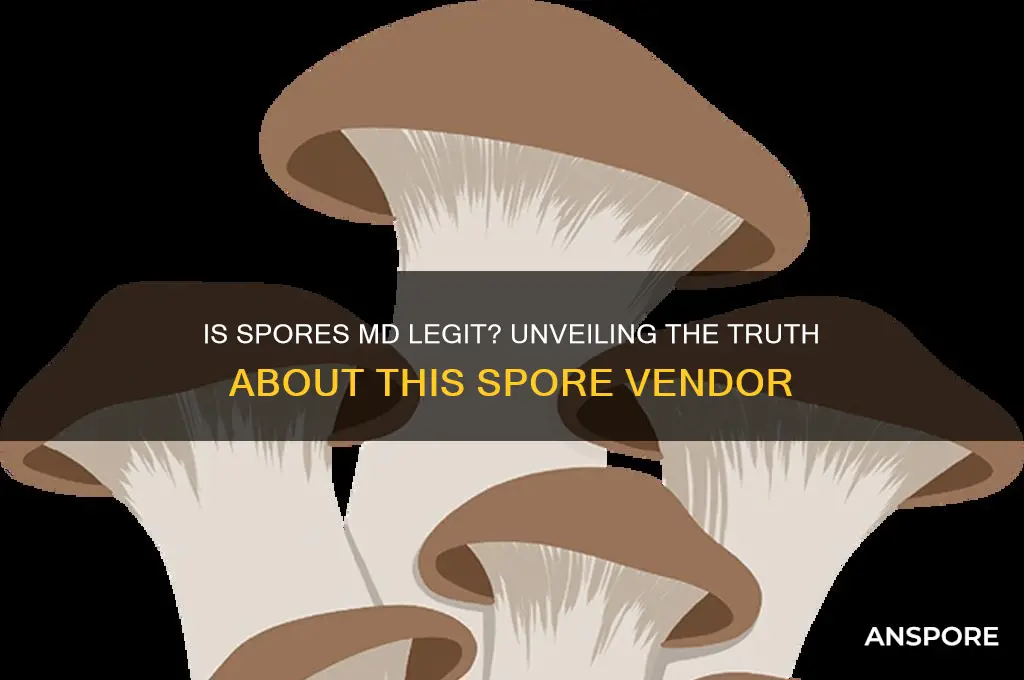 is spores md legit
