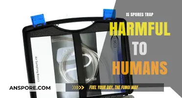 Are Spore Traps Harmful to Humans? Uncovering the Truth
