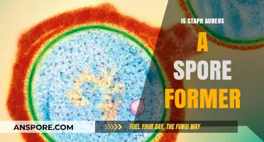 Is Staph Aureus a Spore Former? Unraveling the Myth