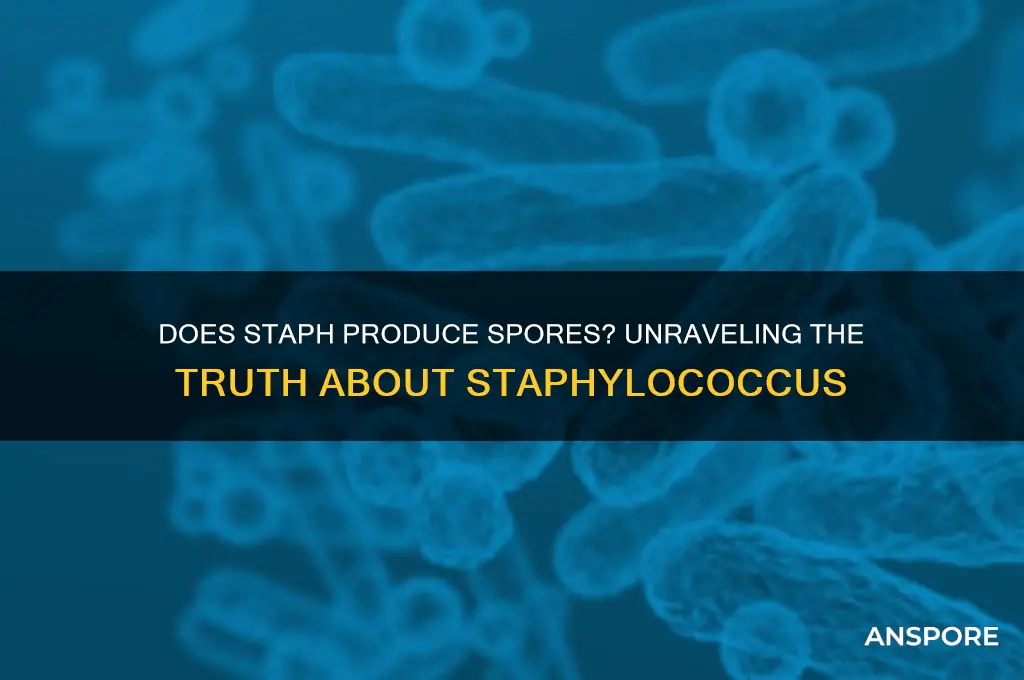 is staph spore producing