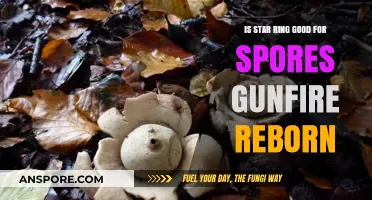 Is Star Ring Effective for Spores in Gunfire Reborn?