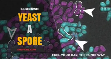 Is Store-Bought Yeast a Spore? Unraveling the Microbial Mystery