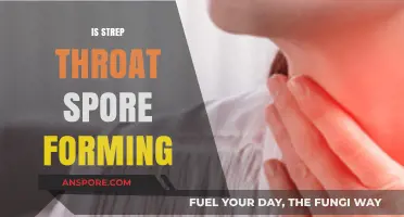 Strep Throat and Spores: Unraveling the Truth Behind the Infection