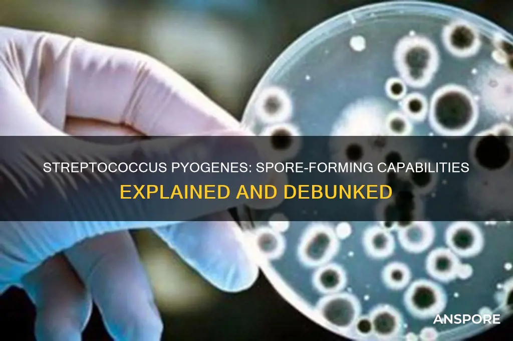 is streptococcus pyogenes spore forming