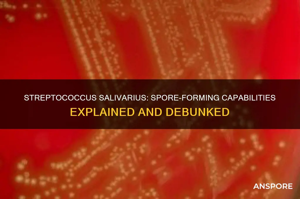 is streptococcus salivarius spore forming