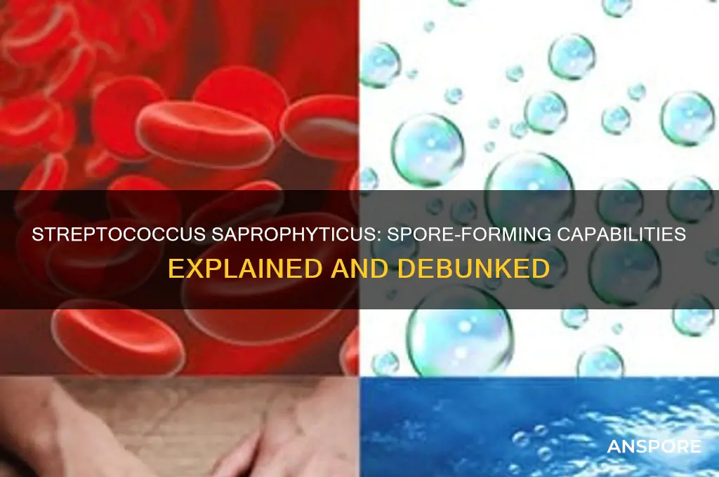 is streptococcus saprophyticus spore forming