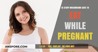 Is Stuffed Mushroom Safe During Pregnancy? Expert Advice and Tips