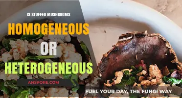 Stuffed Mushrooms: Homogeneous or Heterogeneous? Exploring Culinary Mixtures