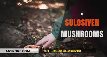 The Magic of Sulfur-Loving Siven Mushrooms