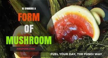 Is Synder's a Mushroom? Unveiling the Truth Behind the Confusion