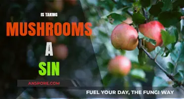 Mushrooms: Sinful or Spiritual?