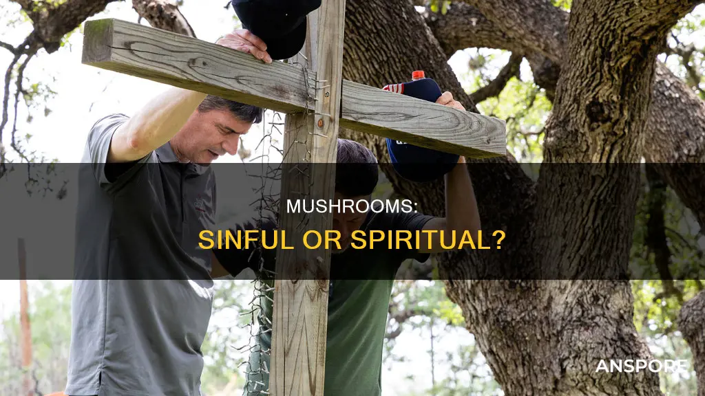 is taking mushrooms a sin