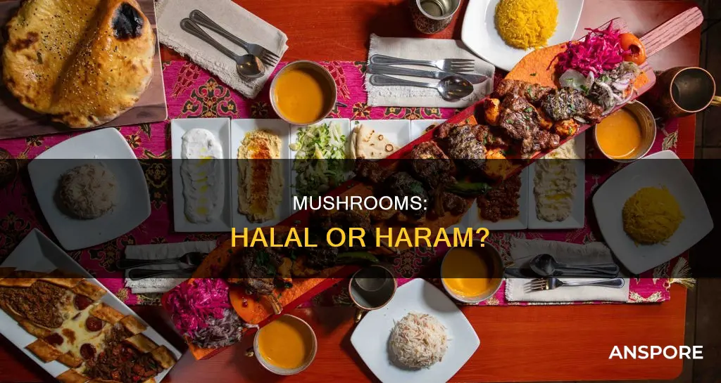 is taking mushrooms haram