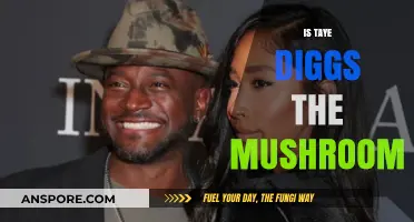 Taye Diggs: Is He the Mushroom Man?