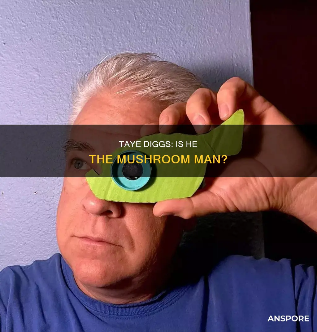 is taye diggs the mushroom