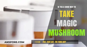 Tea and Tripping: Exploring Magic Mushrooms in a Brew