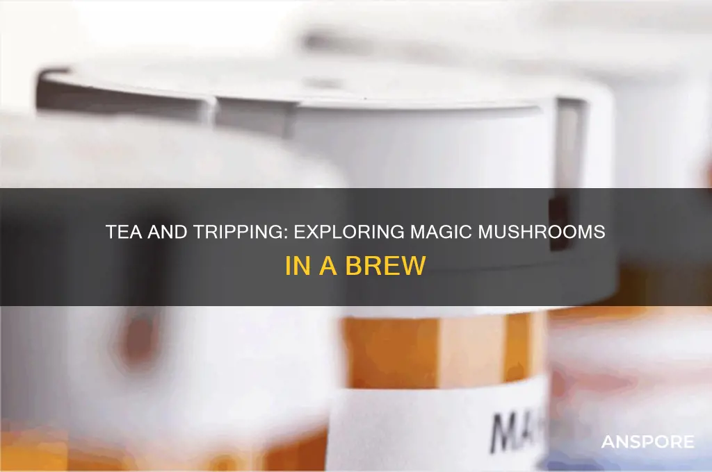 is tea a good way to take magic mushrooms