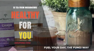 Mushroom Tea Benefits: Unveiling the Health Secrets of Fungal Brews