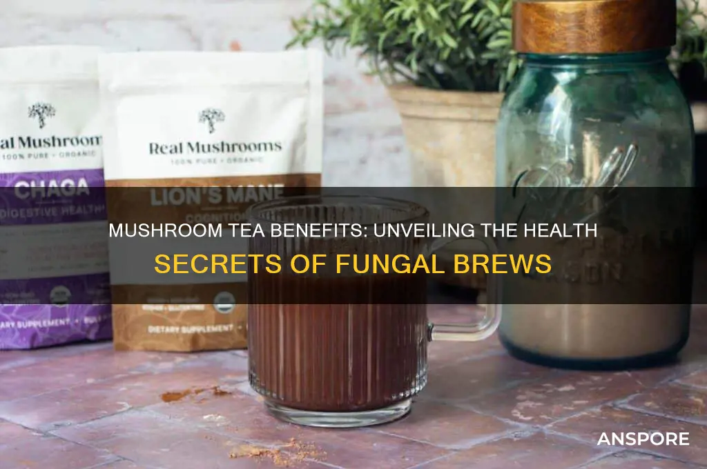is tea from mushrooms healthy for you