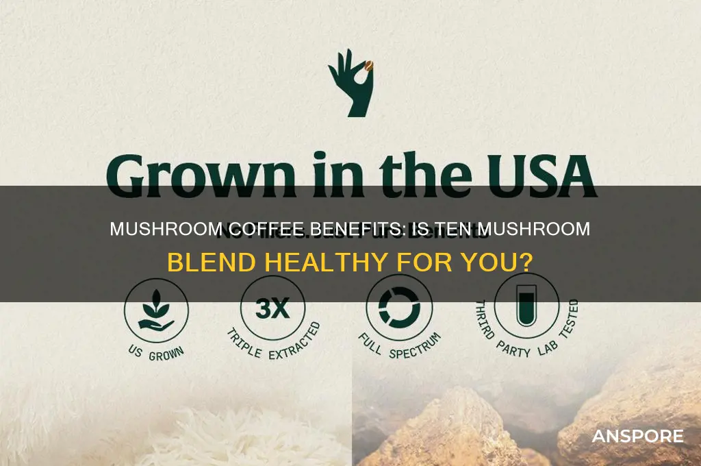is ten mushroom coffee good for you