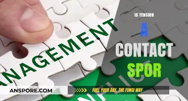 Is Tension a Contact Sport? Exploring Conflict Dynamics and Resolution