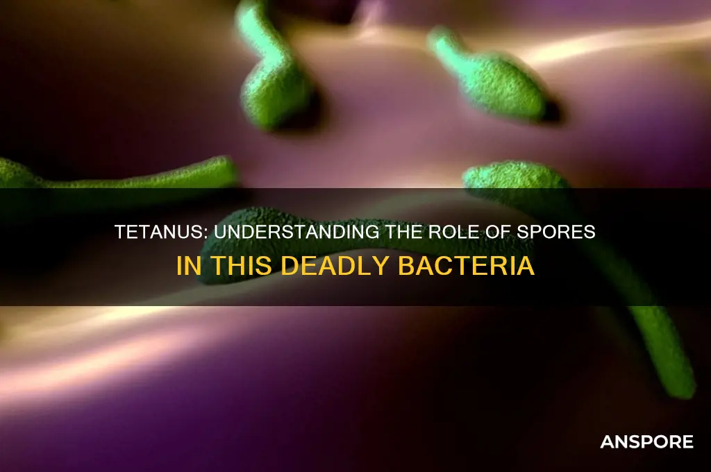 is tetanus a spore