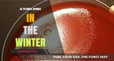 Winter's Hidden Danger: Understanding Tetanus Spores in Cold Weather