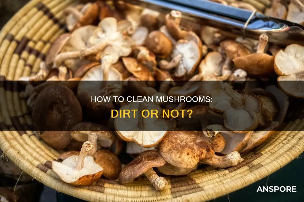 is that dirt on mushrooms