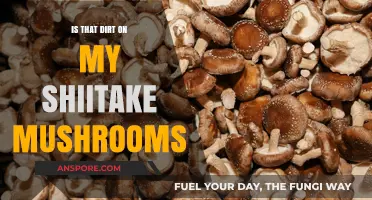 Is That Dirt on My Shiitake Mushrooms? A Quick Guide