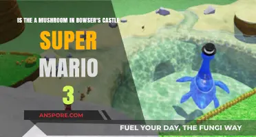 Is There a Hidden Mushroom in Bowser's Castle? Super Mario 3 Secrets