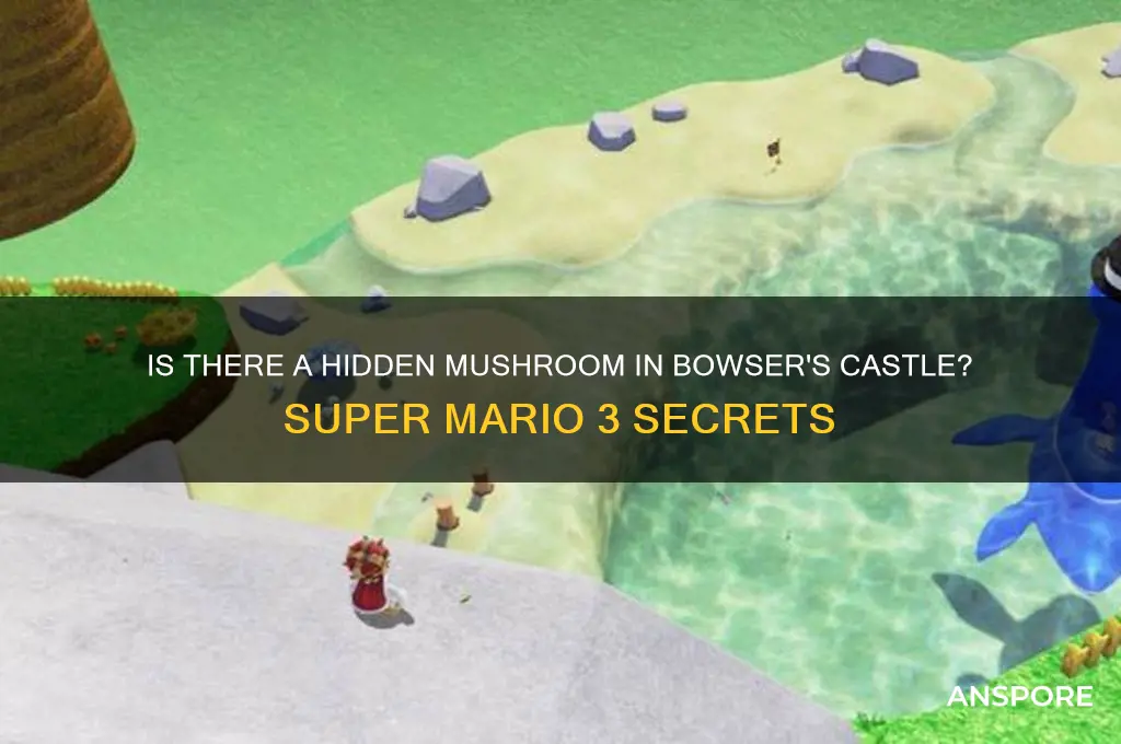 is the a mushroom in bowser