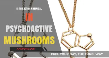 Exploring Psilocybin: The Active Chemical in Psychoactive Mushrooms
